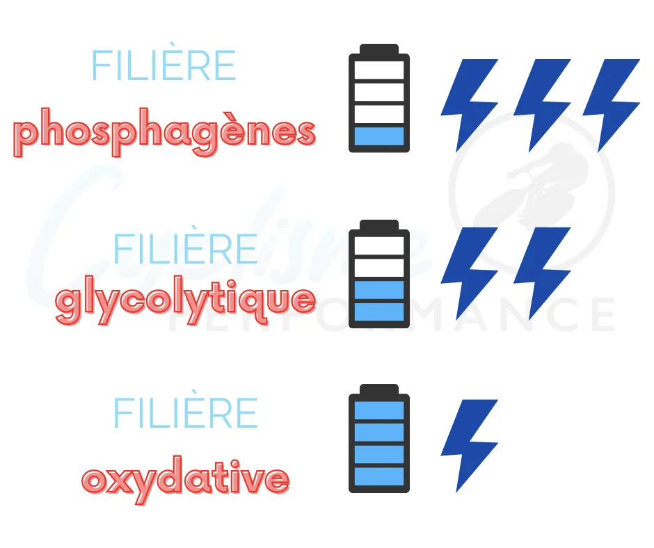 les filières énergétiques